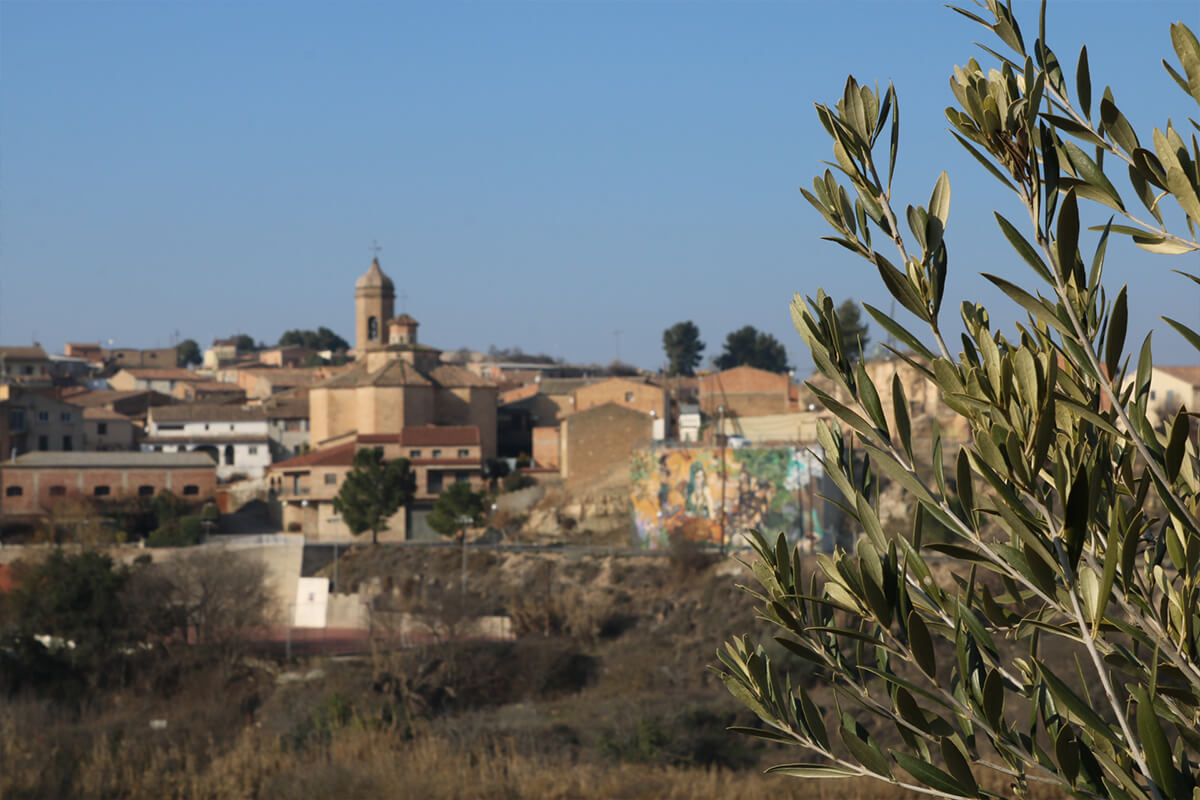 El Cogul - Oli Rupestre del Cogul